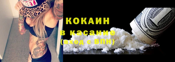 хмурый Карпинск