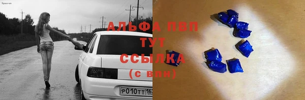 хмурый Карпинск