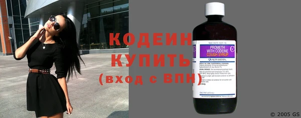 хмурый Карпинск