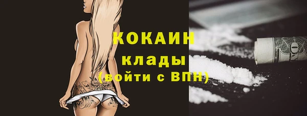 хмурый Карпинск