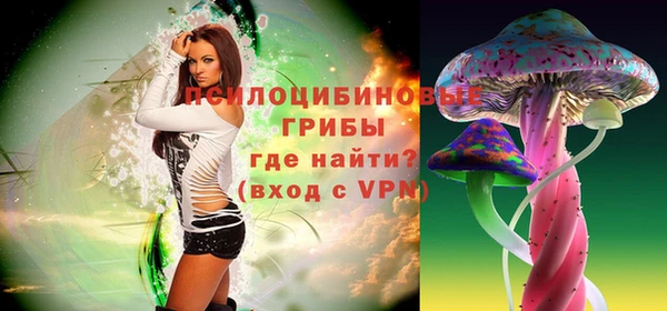 хмурый Карпинск